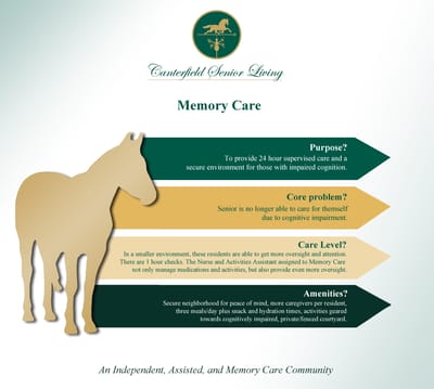 Graphic with information about memory care services