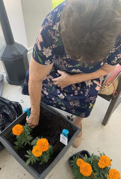 Resident planting flowers in a garden area