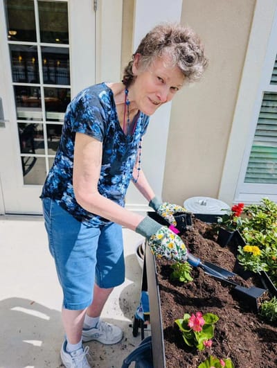 Resident planting flowers in the garden