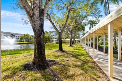 Walking path along a serene pond with trees