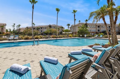 Outdoor pool area with lounge chairs and palm trees
