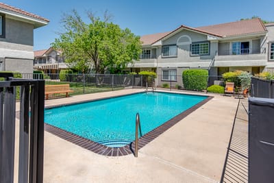 Outdoor pool area with chairs and trees