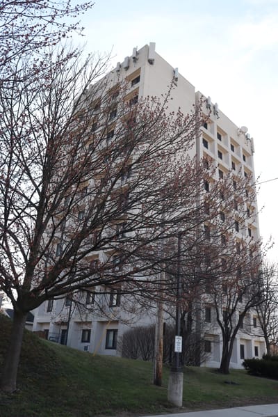 View of the building exterior with trees in the foreground