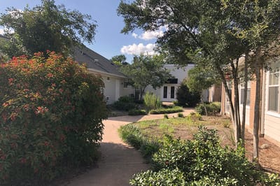 Garden pathway surrounded by greenery