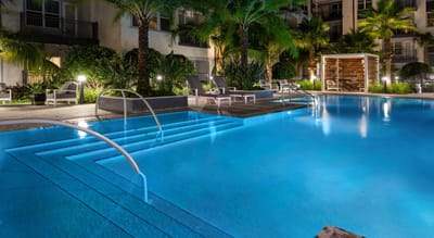 Serene outdoor pool area surrounded by palm trees
