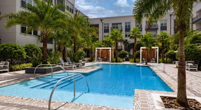 Outdoor swimming pool surrounded by palm trees