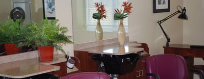 Interior view of a salon area with chairs and plants