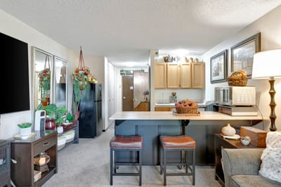 Interior view of a resident apartment with modern decor