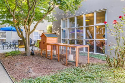 Outdoor garden area with chicken coop and seating