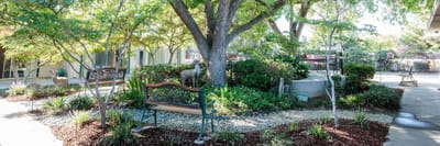 Beautiful garden area with benches and greenery