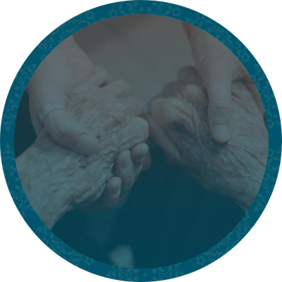 Meadowcrest – Middletown, Assisted Living in Middletown, DE — Close-up of hands symbolizing care and connection