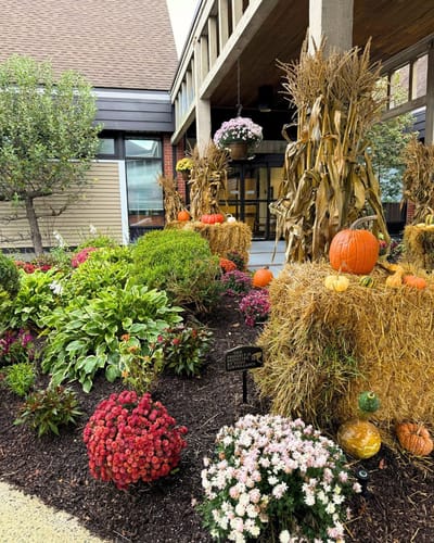 Colorful flower beds with pumpkins in an outdoor space