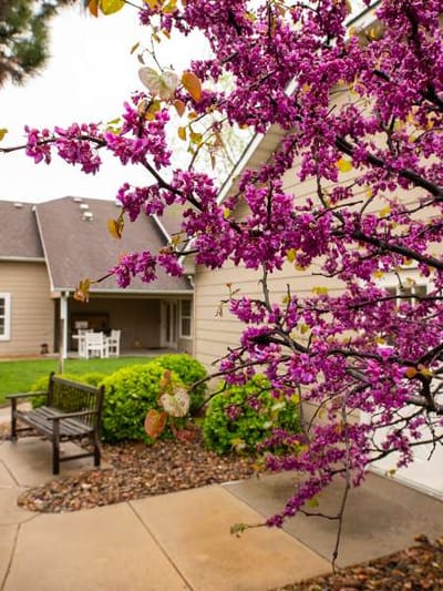 Blooms in front of a residential building