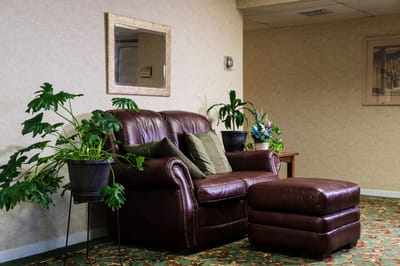 Cozy seating area with plants and decorations