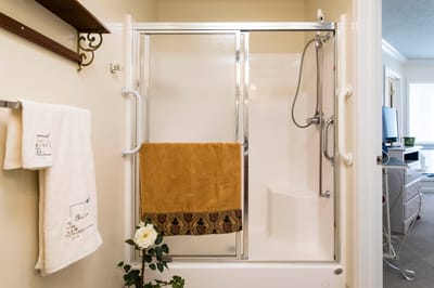 Accessible bathroom with grab bars and towel