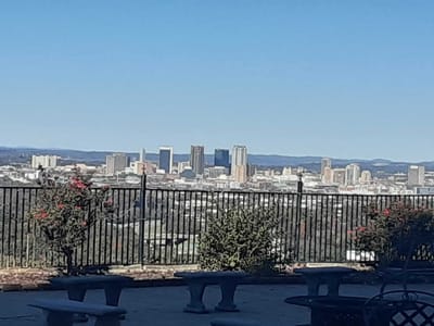 View of a city skyline from an outdoor space.