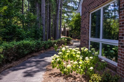 Pathway with flowers and trees beside a building