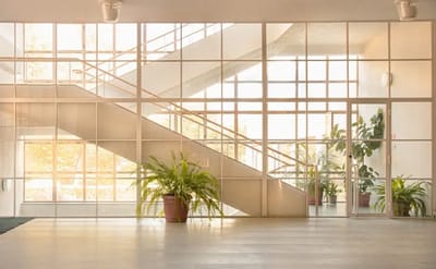Bright interior with a staircase and plants.