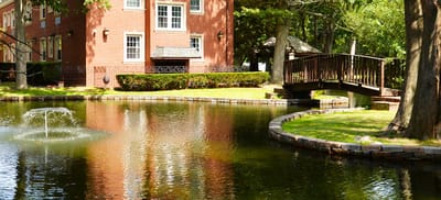 Scenic outdoor area with a pond and bridge