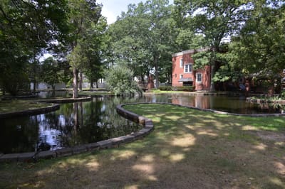 Scenic view of a pond and building in a garden