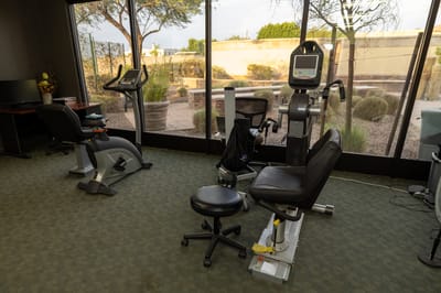 Therapy equipment in a fitness room overlooking an outdoor space