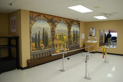 Interior space with rehabilitation bars and mural