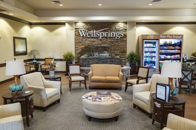 A cozy common area with seating and decor at Wellsprings