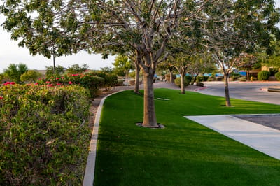 Lush green outdoor walkway lined with trees and flowers