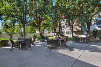 Outdoor seating area surrounded by trees