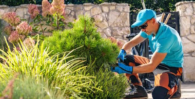 Gardener tending to plants in an outdoor space