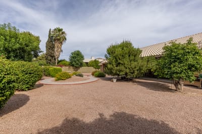 Lush outdoor courtyard with trees and pathways