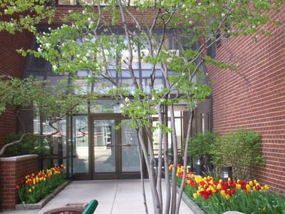 Flower garden near the entrance of the facility