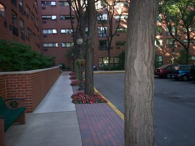 Lush outdoor space with trees and flowers