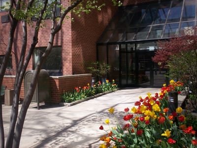 Entrance with vibrant flower beds and glass facade.