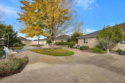 Serene outdoor courtyard with pathways and seating