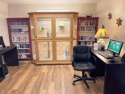 Cozy indoor reading area with a birdcage and bookshelves.