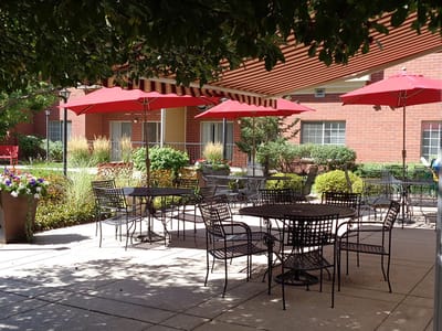 Outdoor seating area with umbrellas and plants