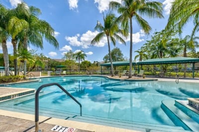 Sparkling swimming pool surrounded by palm trees