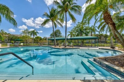 Swimming pool surrounded by palm trees and greenery