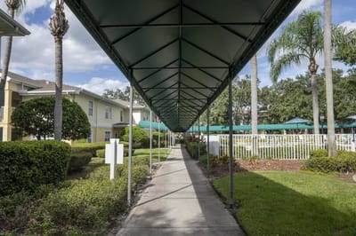 Outdoor walkway with palms and green canopies