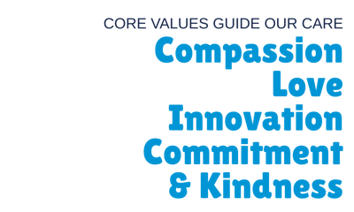Text highlighting core values of care