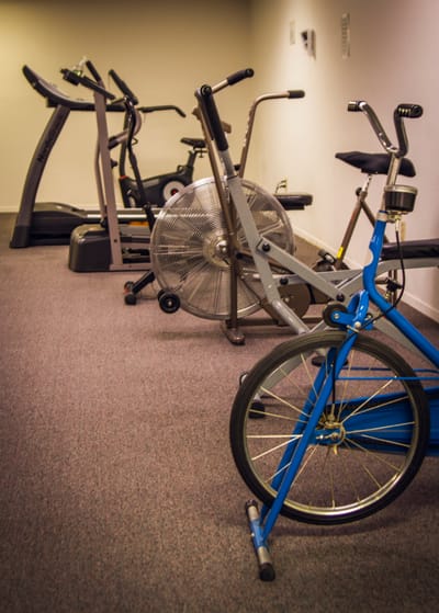 Interior view of fitness equipment in a gym area