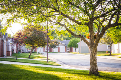 Tree-lined street within the facility grounds
