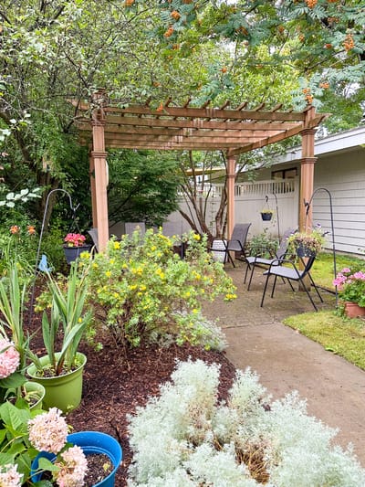 Garden area with seating and plants in gazebo