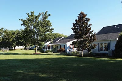 Exterior view of assisted living cottages with trees