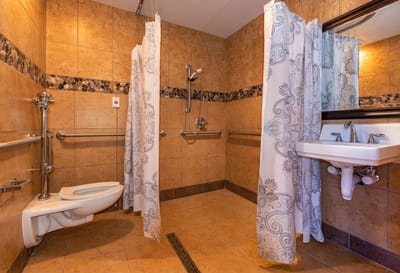 Accessible bathroom with grab bars and shower curtains
