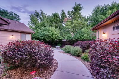 Pathway surrounded by lush greenery in a garden