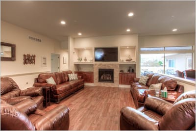 Cozy living room with leather sofas and a fireplace