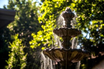 A decorative outdoor fountain surrounded by greenery