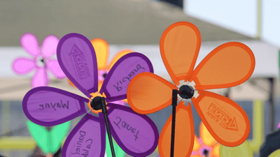 Colorful pinwheels in an outdoor area